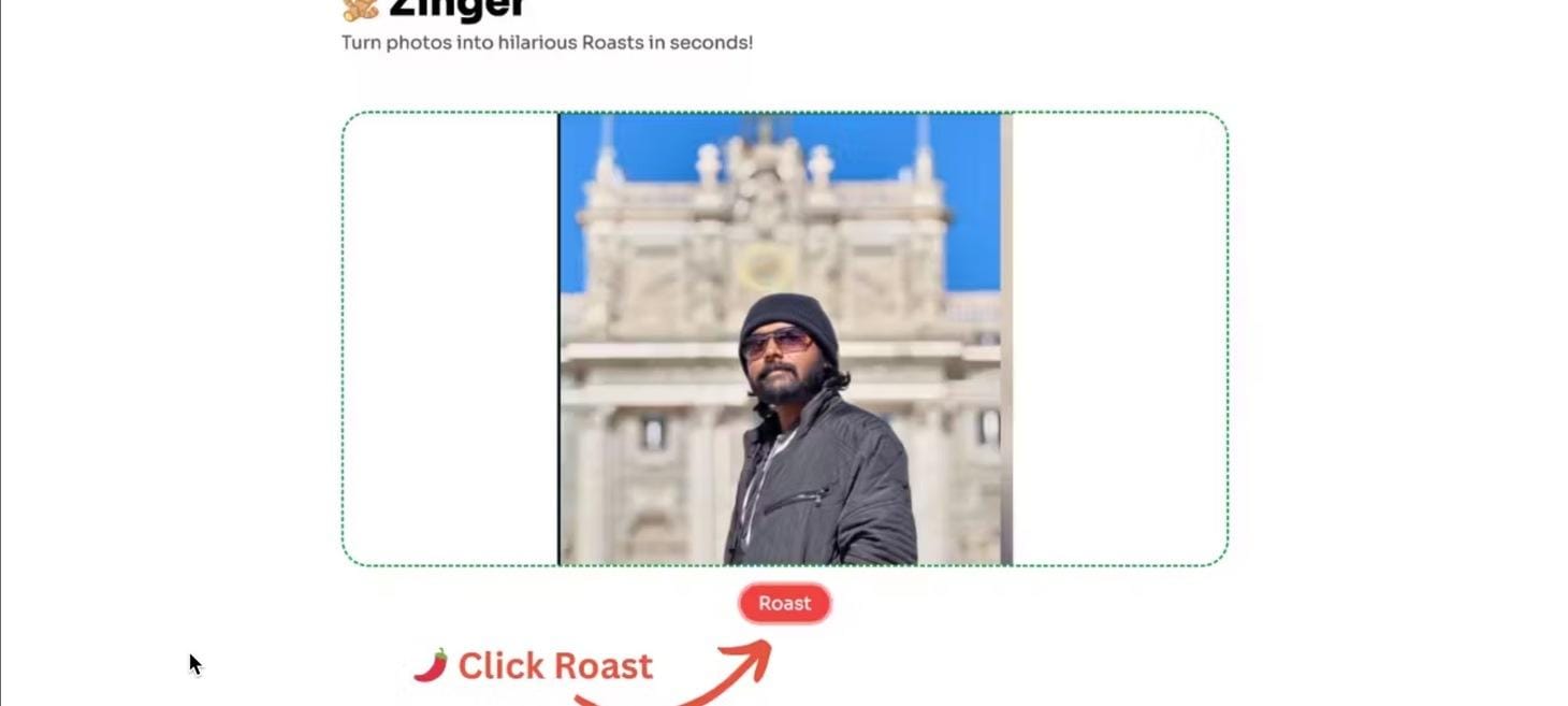 Instant Photo Roast Generators - Zinger Turns Your Photos into Funny Roasts for Online Sharing