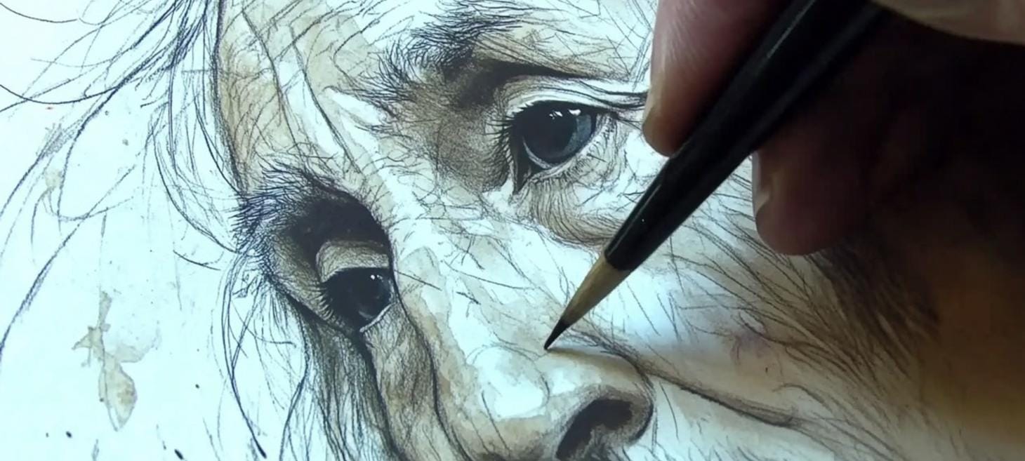 Sketch & Paint: Stroke-By-Stroke Evolution of Visual Artworks