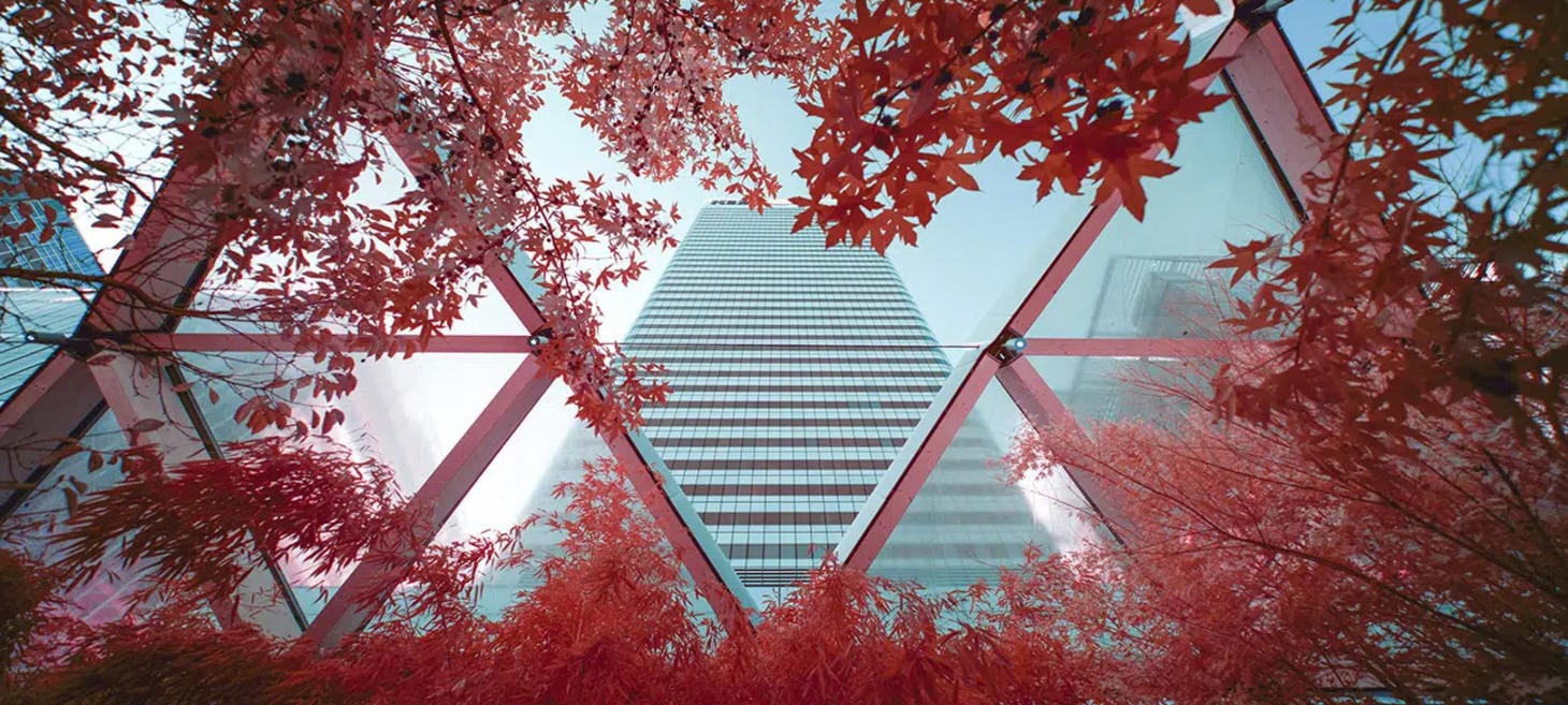 Photographer Combines Infrared Photography, AI, and Augmented Reality for Moving Series on Marginalization