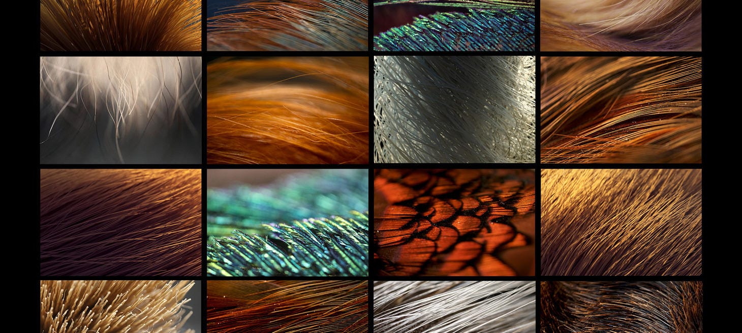 Texas A&M’s Visualization Graduate Programs Merge Art and Technology