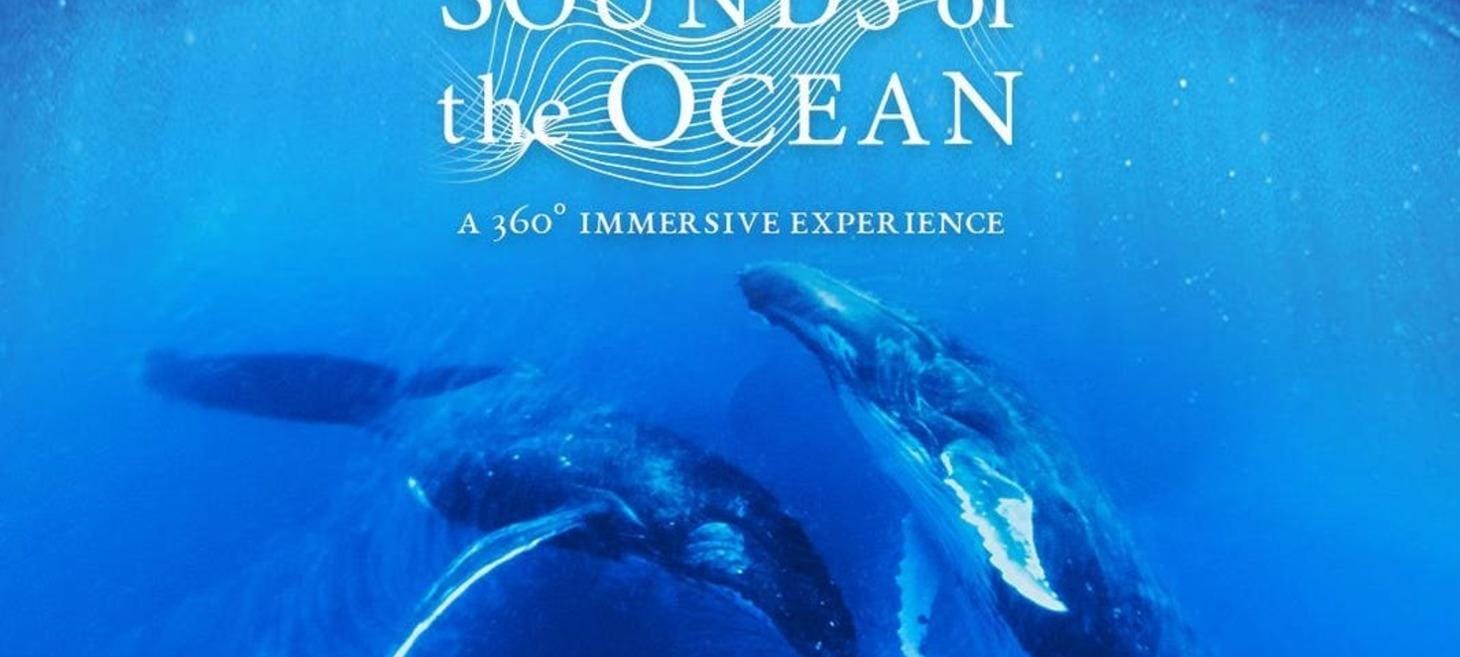 The Surprising Role Planetariums Play In Ocean Conservation