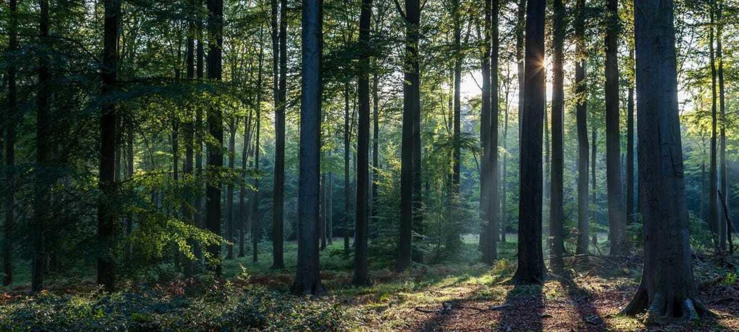This AI Image Generator that Went Viral for Its Realistic Images Gets a Major Upgrade