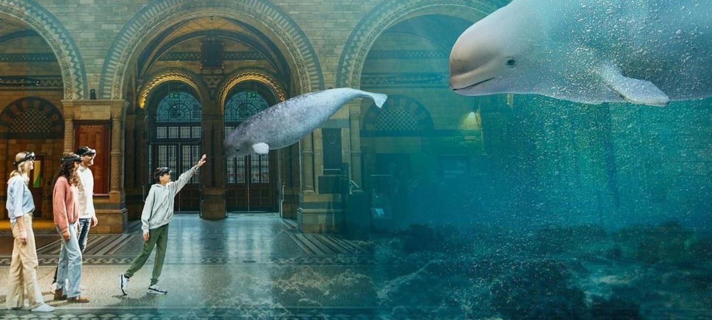 Visions Of Nature: A Mixed Reality Experience At London’s Natural History Museum