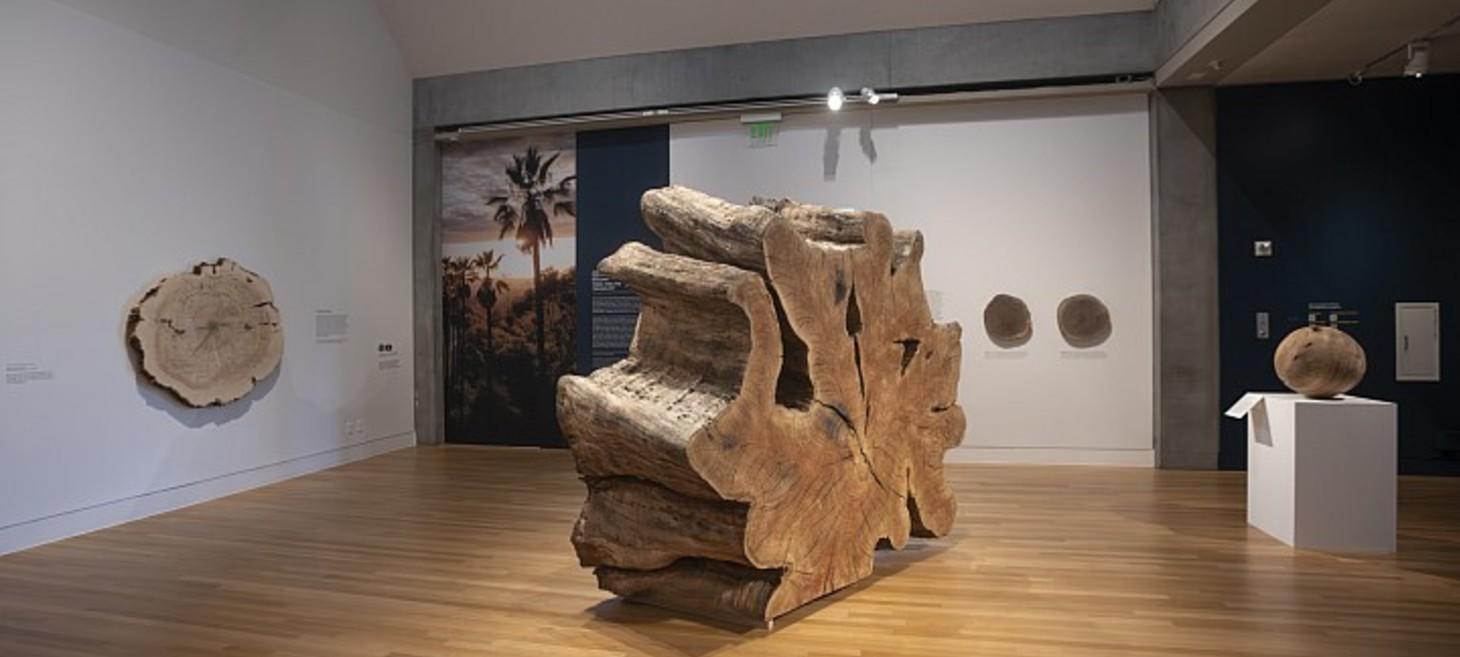 Ancient Wisdom For A Future Ecology: Trees, Time & Technology