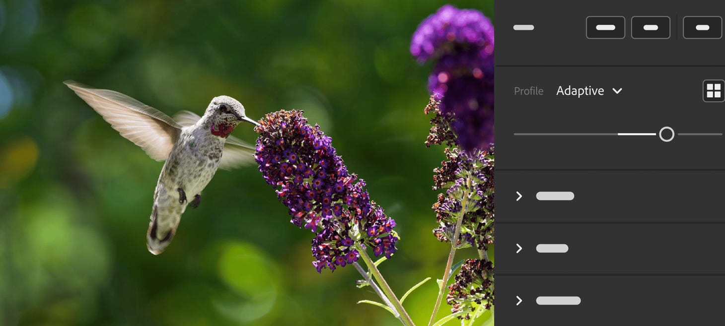 Adobe Lightroom and Camera Raw Are Getting Two New AI Editing Features