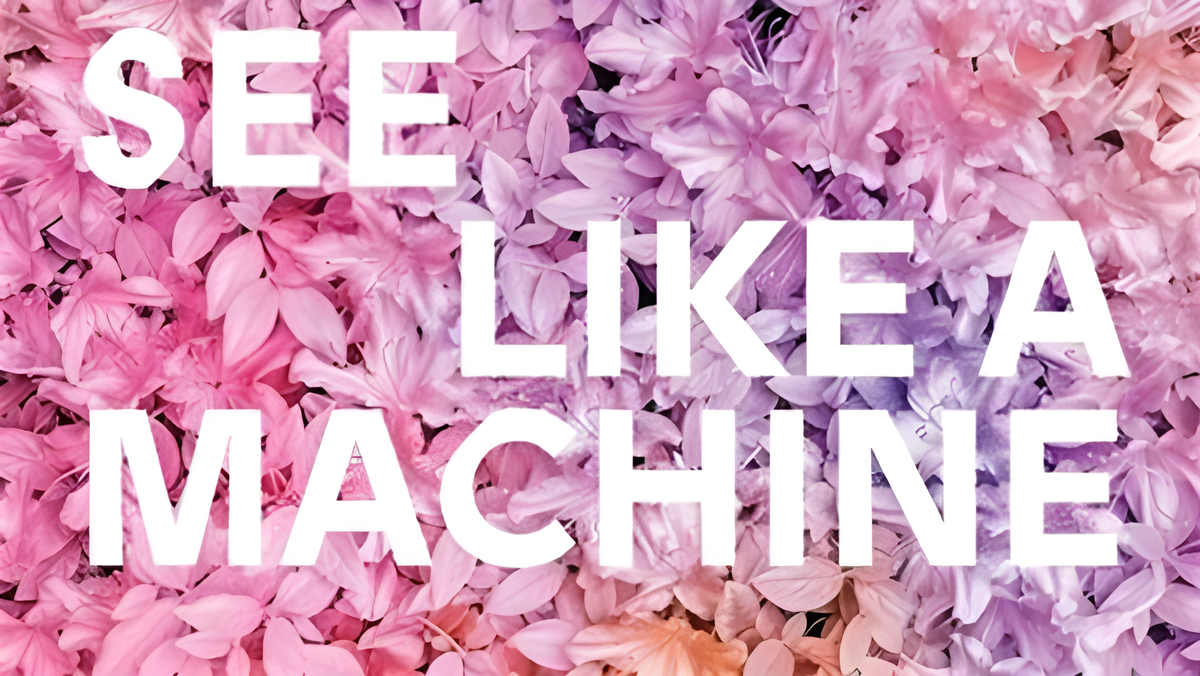 In How to See Like a Machine Paglen suggest that the advent of this new tech-animated image culture is more consequential than the discovery of perspective or photography Courtesy of Verso Books