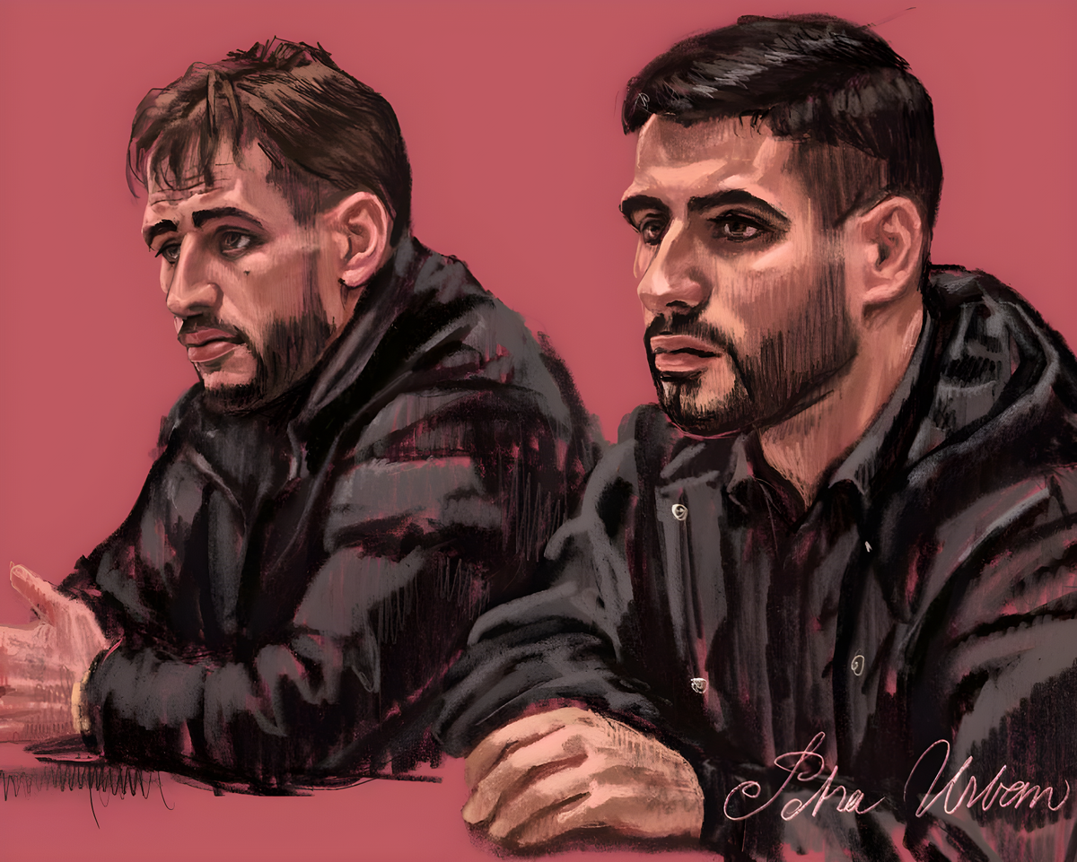 A Court Sketch, Two Faces, and the AI Distortion Problem
